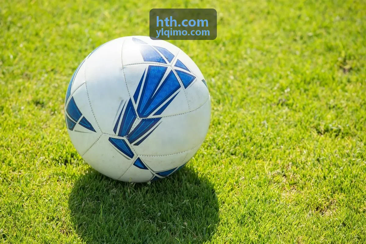 hth.com 品牌出海数字营销